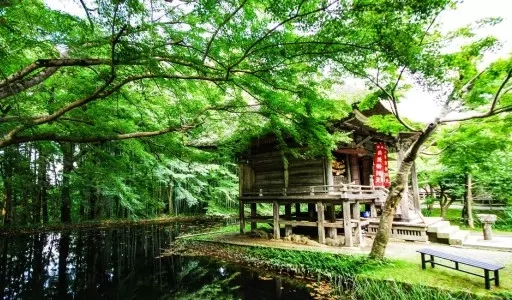 Diane Stein: Uma Biografia Espiritual