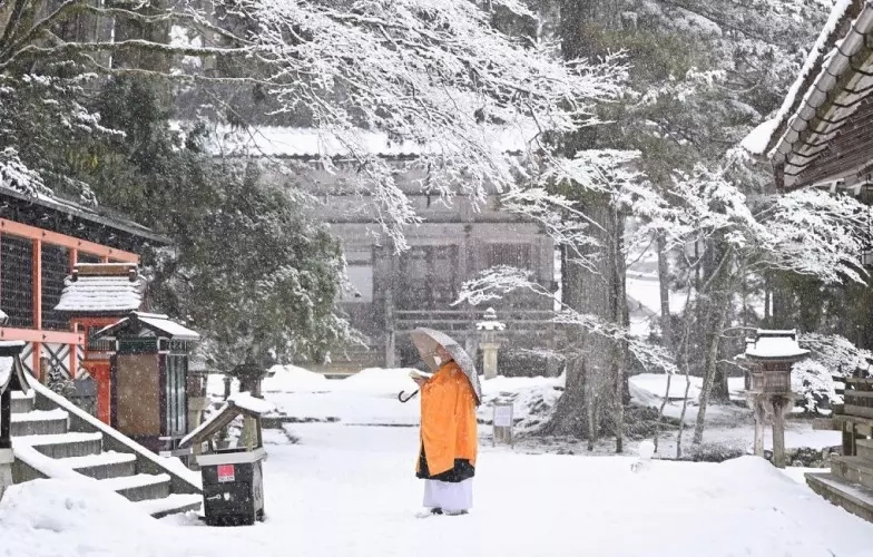 Linhagem Tibetana : Propósito Espiritual e Integração de Símbolos