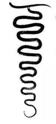 A serpente de fogo